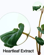 ANUA HEARTLEAF 70% DAILY LOTION